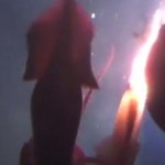 Giant squid attacks Greenpeace submarine