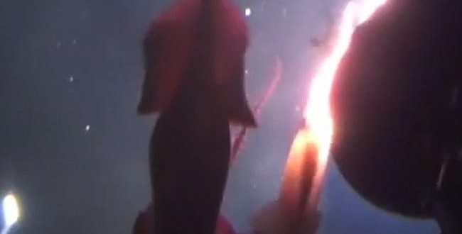 Giant squid attacks Greenpeace submarine (Video)