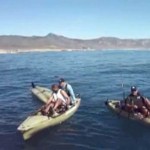 Great White Shark Attacks Kayakers Off Santa Barbara County Coast