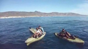 Great White Shark Attacks Kayakers Off Santa Barbara County Coast