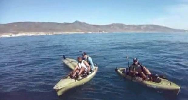 Great White Shark Attacks Kayakers Off Santa Barbara County Coast