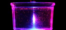 Lasers show how Sea Monkeys mix oceans, Study