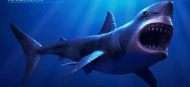 Megalodon shark became extinct 2.6 million years ago, UF Study