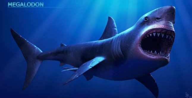Megalodon shark became extinct 2.6 million years ago, UF Study