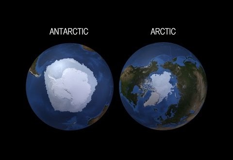 NASA scientists report Antarctic Sea Ice growth hits Record high