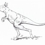 Prehistoric kangaroo was a walker, study finds