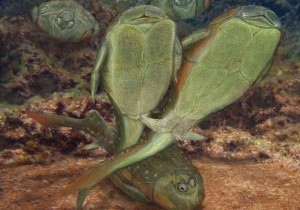 Researchers discover the kinda disgusting origins of sex