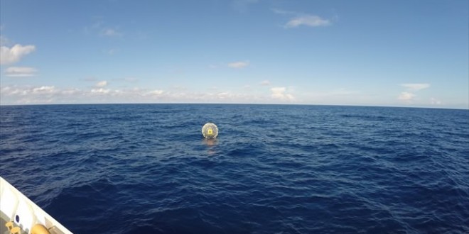 Reza Baluchi : Man in inflatable bubble rescued off Fla.