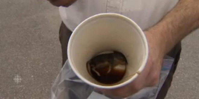 Ron Morais Claims He Found a Mouse In Coffee Cup (Video)