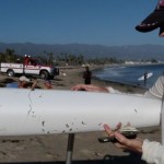 Shark Bites Outrigger Canoe in Santa Barbara Channel, authorities say