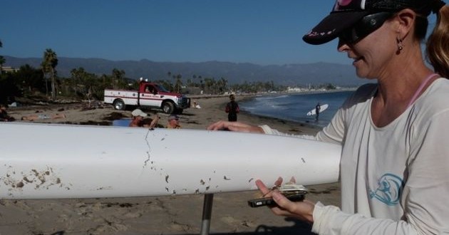 Shark Bites Outrigger Canoe in Santa Barbara Channel, authorities say