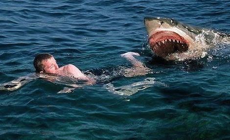 Western Australia shark attack victim lost both arms