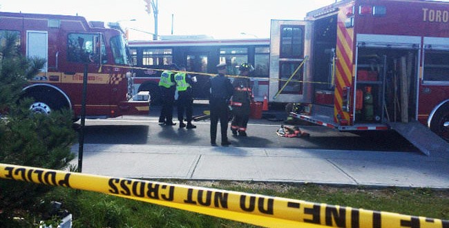 Woman,65, killed after being struck by TTC bus (Video)