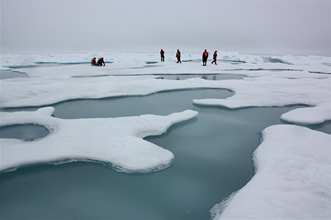 Canada must act soon on climate change: David Suzuki Foundation says