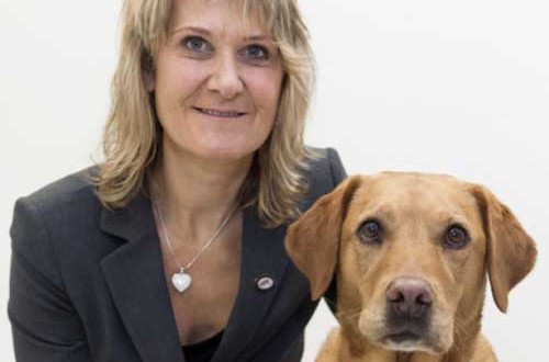 Daisy : Cancer detection dog receives charity medal