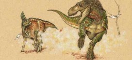Dino Life-or-Death Chases Recreated, New Study
