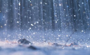 Environment Canada: High winds, heavy rain forecast