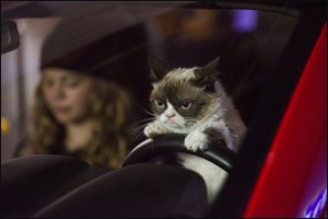 Grumpy Cat movie trailer : Best Holiday Movie Ever (Video)