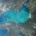 Jelly Takeover: Calcium levels in Water of Canadian lakes have greatly reduced