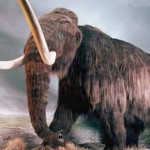 Scientists debate science, ethics of cloning wooly mammoth