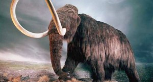 Scientists debate science, ethics of cloning wooly mammoth