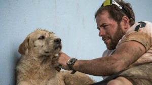 Stray dog follows adventure team for 40km (Video)