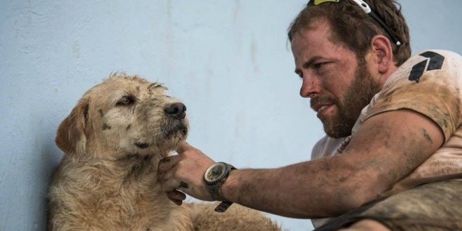 Stray dog follows adventure team for 40km (Video)