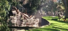 Attack Zoo Lion - Video : Lions maul man at Barcelona zoo