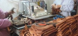 Dog skins turned into leather in China (Video Viral)
