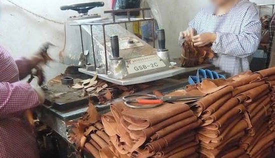 Dog skins turned into leather in China (Video Viral)