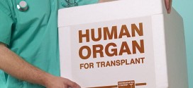 Organ donations from seniors could reduce wait times, study say