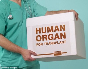 Organ donations from seniors could reduce wait times, study say