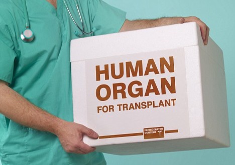 Organ donations from seniors could reduce wait times, study say