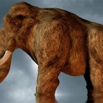 Researchers say mastodons were not hunted out of extinction