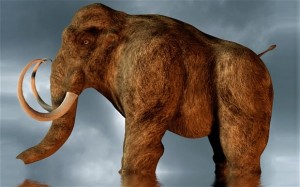 Researchers say mastodons were not hunted out of extinction