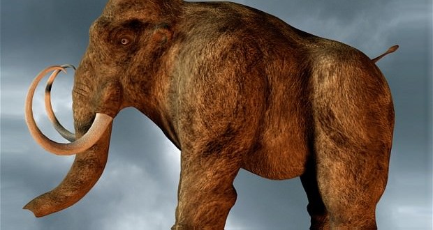 Researchers say mastodons were not hunted out of extinction