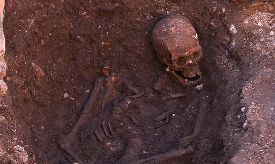 Richard III's DNA throws up infidelity surprise (Video)