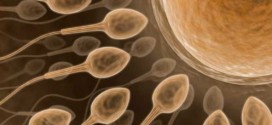 Scientists one step closer to creating human egg, sperm : Study