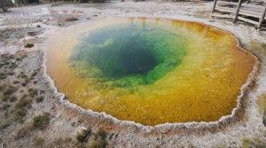 Scientists Recreate Yellowstone's Thermal Springs