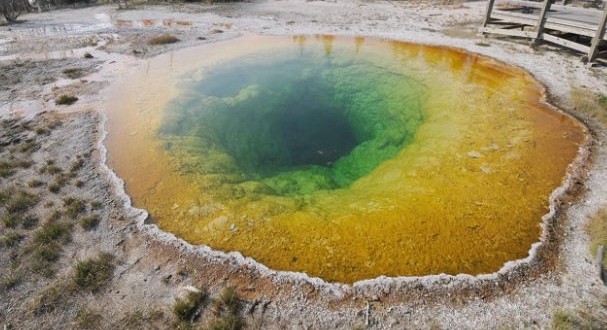 Scientists Recreate Yellowstone’s Thermal Springs