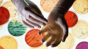Antibiotics resistance: Drug firms 'to blame', Report