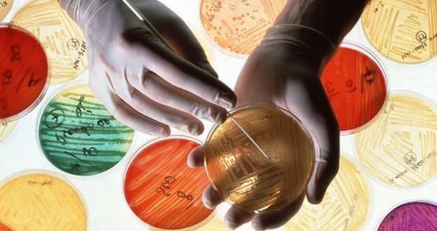 Antibiotics resistance: Drug firms 'to blame', Report