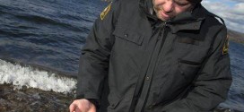 Cape Breton resident concerned by mass mackerel kill: ecologist