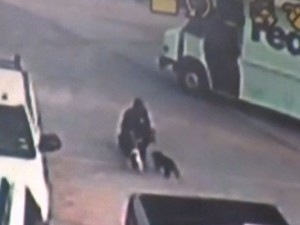 FedEx Driver Steals Puppies - Video : driver caught on camera taking puppies
