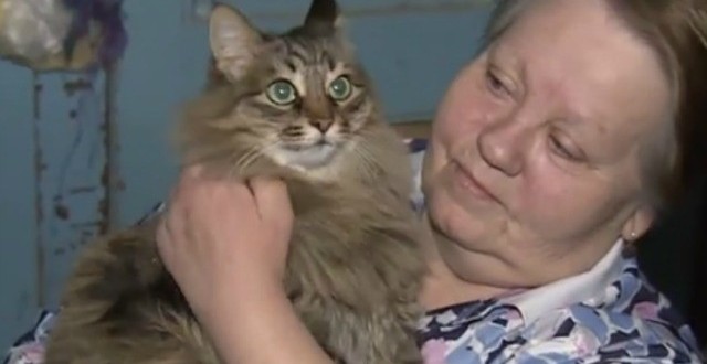Hero Cat Saves Baby : Russian Cat Protects Abandoned Baby While Meowing for Help (Video)