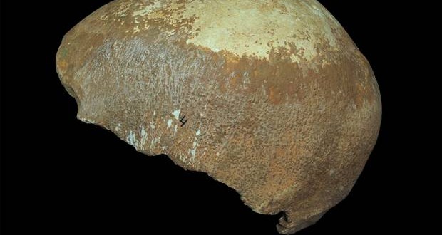 Researchers find skull fossils proving early humans' migration theories correct