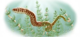 Scientists identify worlds oldest snake fossils