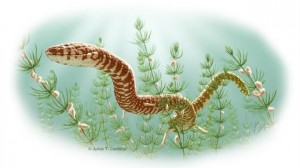 Scientists identify worlds oldest snake fossils