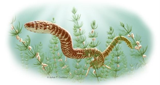 Scientists identify worlds oldest snake fossils