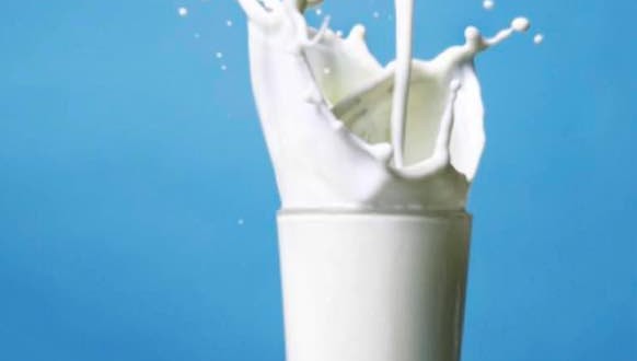 Taking Chocolate Out of Milk Halves Milk Intake in Schools, New Study